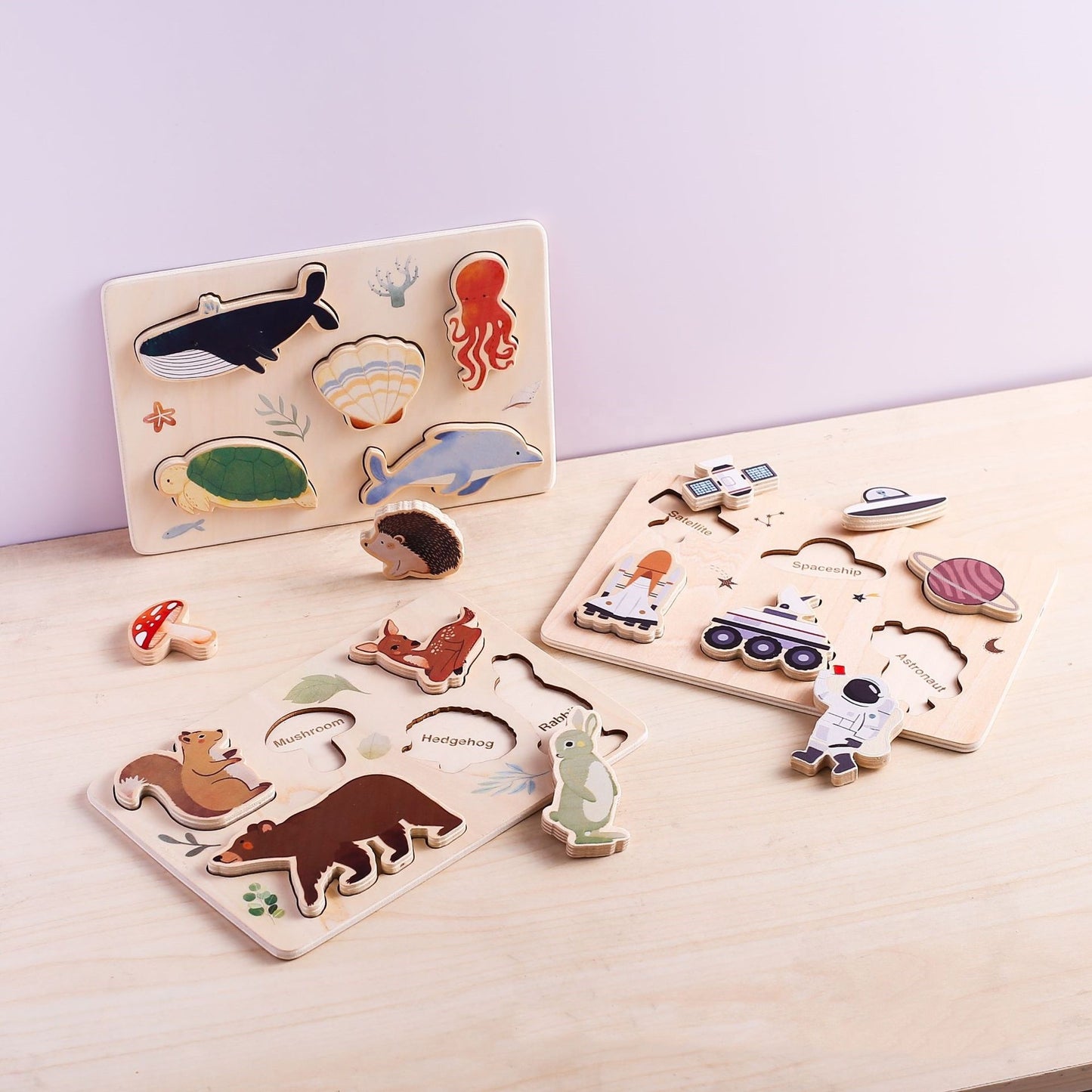 Vkládačka kosmická technika